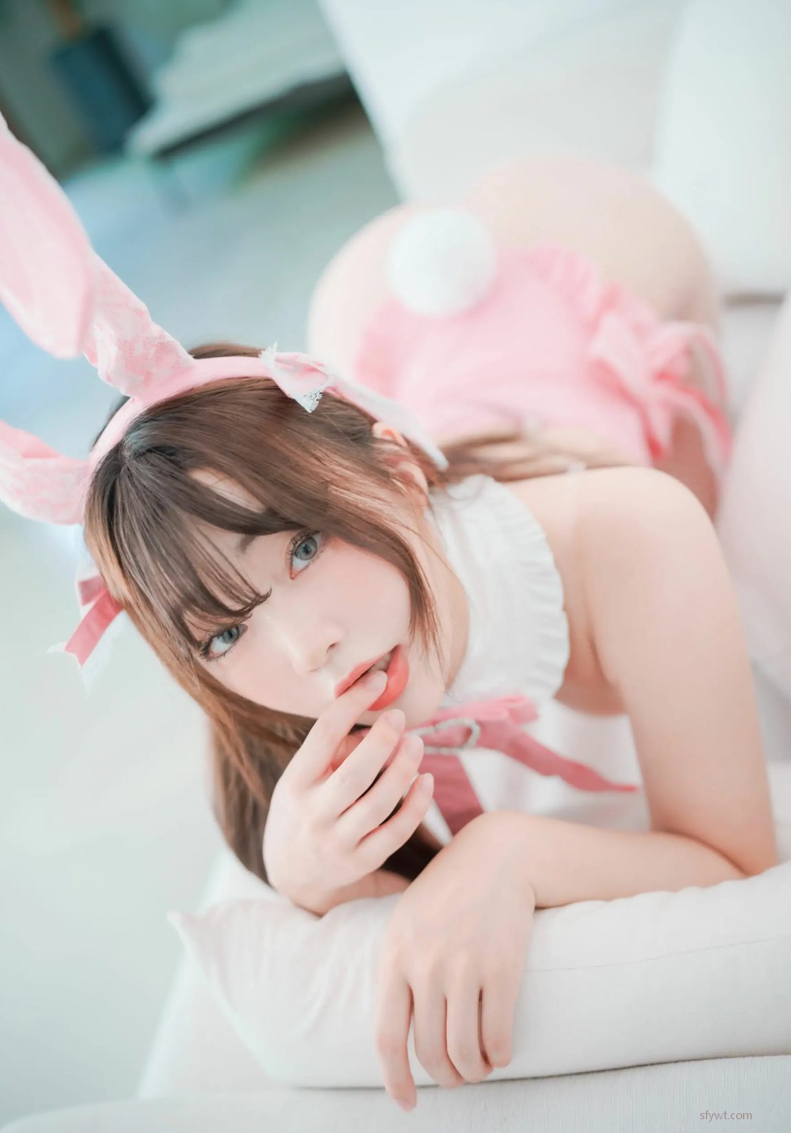 (86P) Pink Year Bunny Ʒʾѡͼ the of Newbom The [ϺDJAWAͼ] 12ҳ 