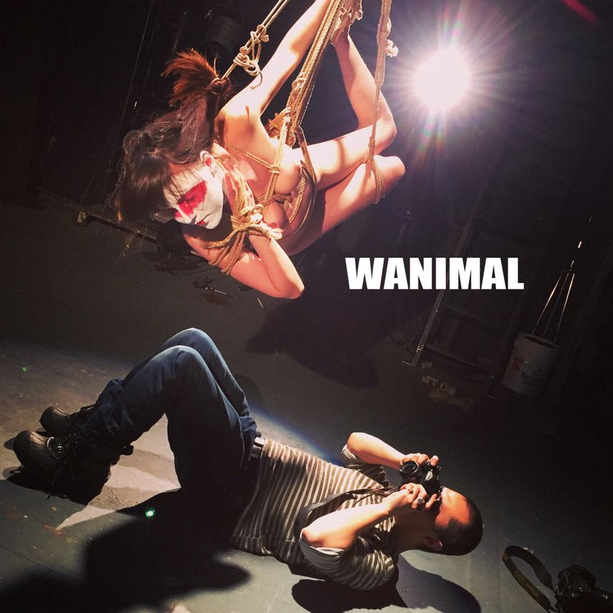 ר (ʮ) [64P] WANIMALƷ  4ҳ