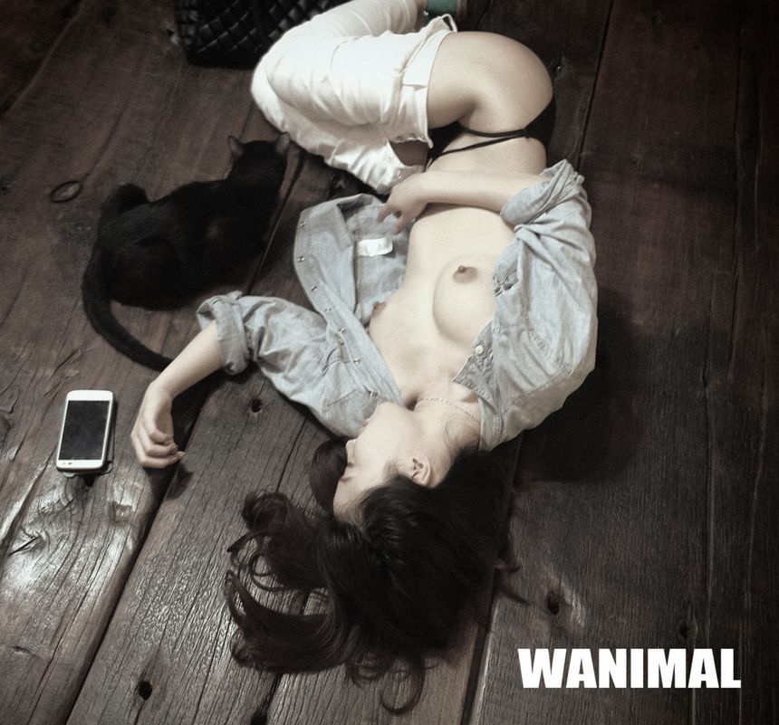  WANIMALƷ () [107P] ѡ 4ҳ